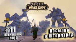 World of Warcraft Classic - Элвиннский лес : Посылка в Штормград (11)