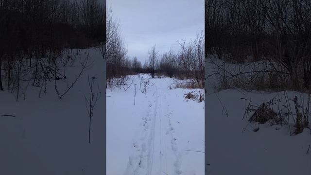 Охота, как средство выживания!