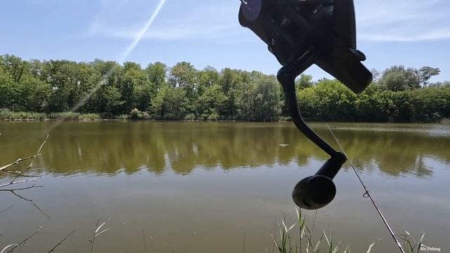 ТОЛСТОЛОБИК АТАКУЕТ, РАЗЛОВИЛ ВОДОЁМ, РЫБАЛКА 2022 ЛОВЛЯ РЫБЫ, ПРО РЫБАЛКУ смотреть онлайн