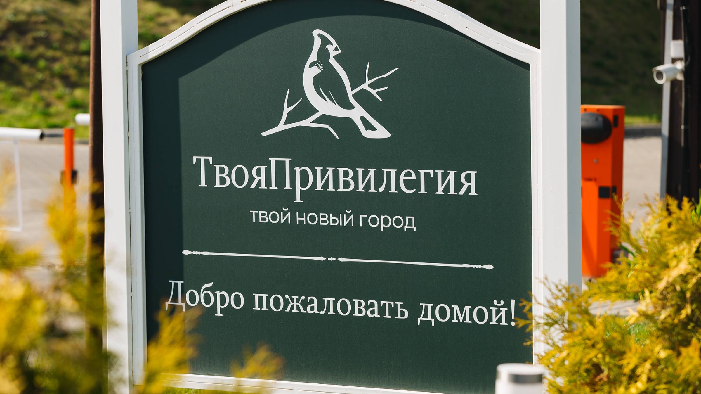 ЖК Твоя Привилегия Екатеринбург #НовостройкиЕкатеринбург #ТвояПривилегияЕкатеринбург смотреть онлайн