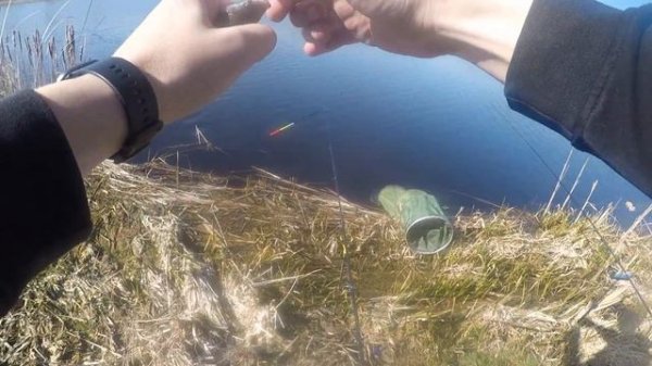 Эта насадка для рыбалки собрала всю ПЛОТВУ. Ловля плотвы весной.