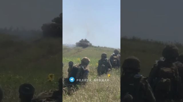 Добре утро ! Вьетнам , не угадали Херсон !! смотреть онлайн