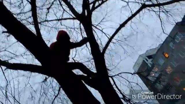 Как лазать на дерево. Обучение смотреть онлайн