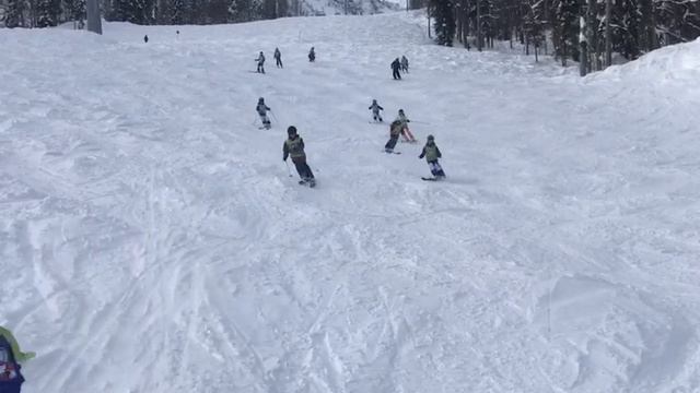 Дикий могул склонов Розы Хутор 2019г.