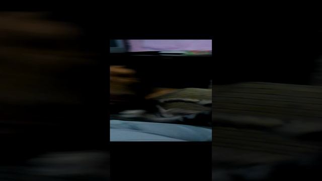 Пузик воюет с Ежиком 16.12.20 149.3gp