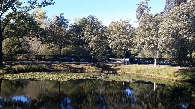 Дед Матвей и Света Молодцова Сборник песен 2020 