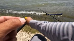 Тут на два удилище не успеваешь ловить, рыбалка на донку