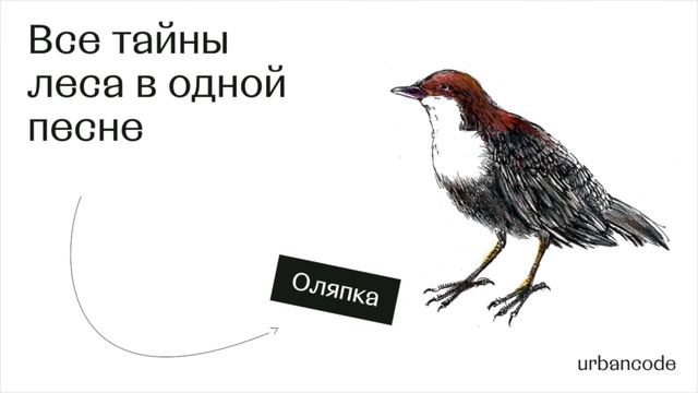 Оляпка смотреть онлайн