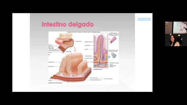 ATF 20 ll 05 Dia 04 03 2021 parte 2 смотреть онлайн