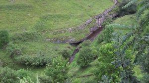 Памяти Русского Учёного Николая Левашова