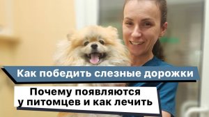 Как победить слезные дорожки у собак и кошек. Почему появляются и как лечить