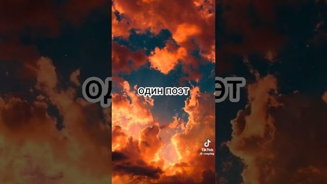 тут ткт смотреть онлайн