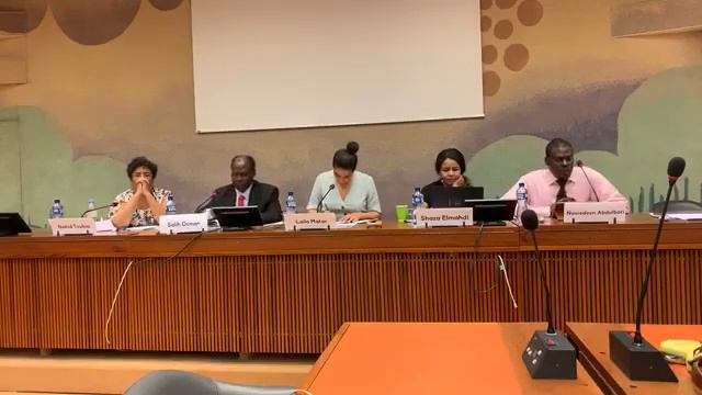 UN Human Rights Council 41 Side Event on Sudan смотреть онлайн