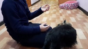 Семья из Мариуполя.НАС ПОПОЛНЕНИЕ В СЕМЬЕ❤️ #мариупольсегодня