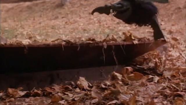 Lobster Man From Mars — Ride of the Valkyria [молтые пчёлы] смотреть онлайн