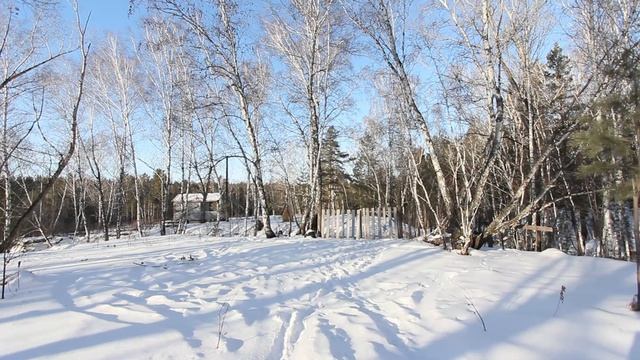 50988664 смотреть онлайн