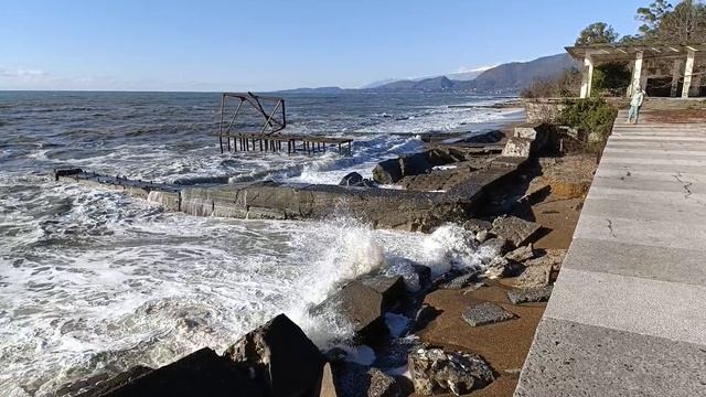 Прогулка к морю. День 70, часть 1. смотреть онлайн