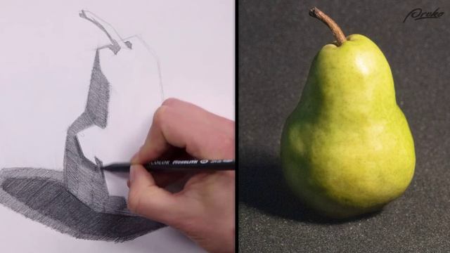 Proko drawing basics 08. simplify-from-observation-pear-demo смотреть онлайн