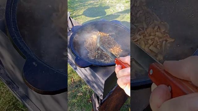 Плов выходного дня.