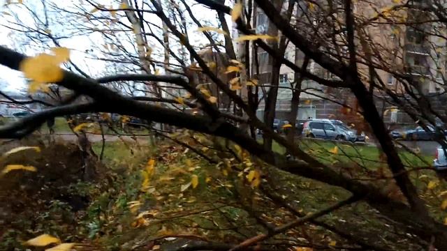 VID 20211104 145526 Я по снам твоим не ходил...2000 ( Борис Рыжий).. Павел Васильев Лахтинский смотреть онлайн