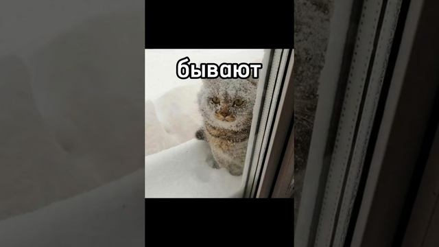 норм получилось? смотреть онлайн