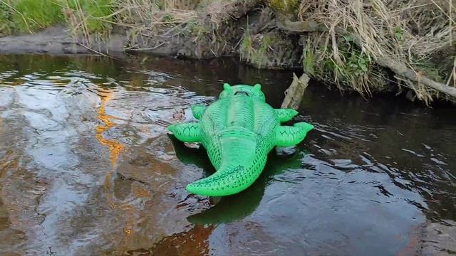 INTEX 58562 - Inflatable Big Beach Green Crocodile 203 CM Floating on the River - 10.05.2021 смотреть онлайн
