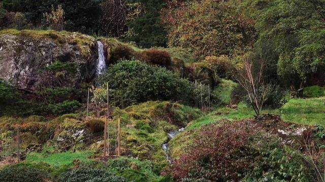 Benmore Botanic Garden смотреть онлайн