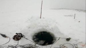 Сериал Чёрная дыра продолжается. 11-я серия. 30.11.2023