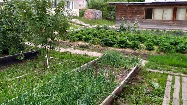 ВЫБРАЛИ ПУТЕВКУ НА ЮГ смотреть онлайн