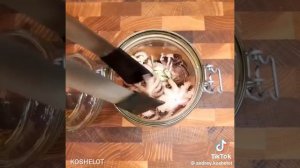 Маринованные осьминоги