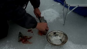 первый лёд - щука / пир в балаганчике