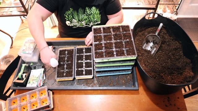 Early February Seed Starting Zone 6A смотреть онлайн