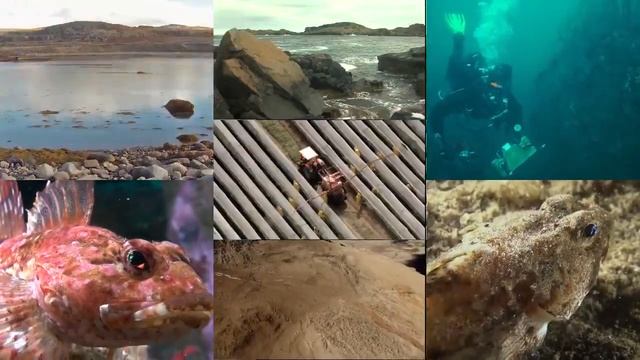 Доброе утро - Выпуск 144 (19.04.2019) смотреть онлайн