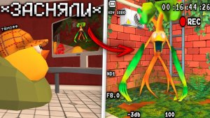 😨 Засняли ВСЮ МИСТИКУ на Камеру в Чикен Ган! Тёмофф Chicken Gun мистика