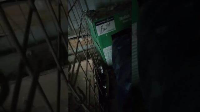 Бакинские и иранские голуби. смотреть онлайн