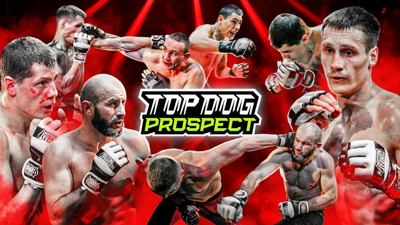 TOP DOG: PROSPECT | Орёл – Севостьянов, Шахматист – Гаврилов, Ураган – Ходжаев, Беков – Отморозок смотреть онлайн