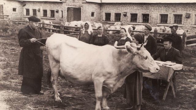 КОРОВА - сл Галины Яковлевой- Глейх муз Шулик Фингеров исполняет Любовь Кузнецова смотреть онлайн