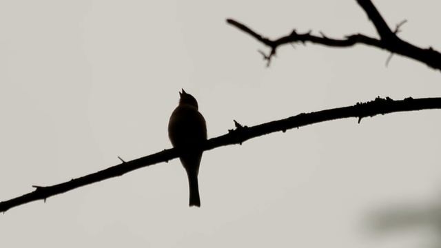 кемпинг в палатке СССР