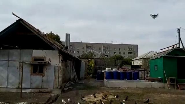🇷🇺В ПОИСКАХ МИНЕРАЛКИ 2020Г.🇷🇺 смотреть онлайн
