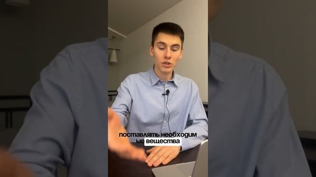 Заменить зубную пасту на морковь? смотреть онлайн
