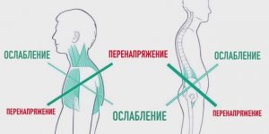 Комплекс Радужной Гимнастики для профилактики последствий сидячего образа жизни.