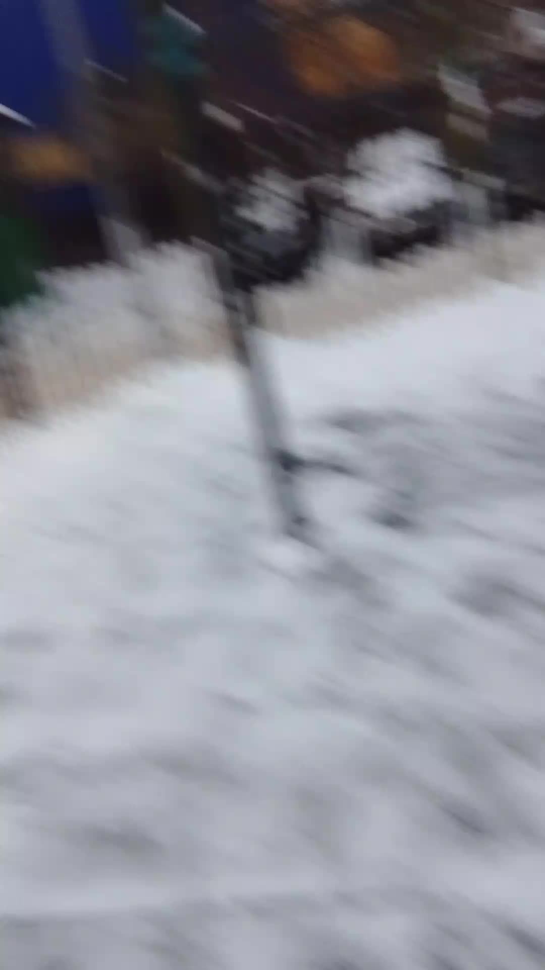 школа   майя