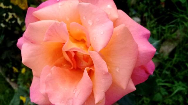 КОМЕДИЯ РОК Счастье-Любовь!!! смотреть онлайн