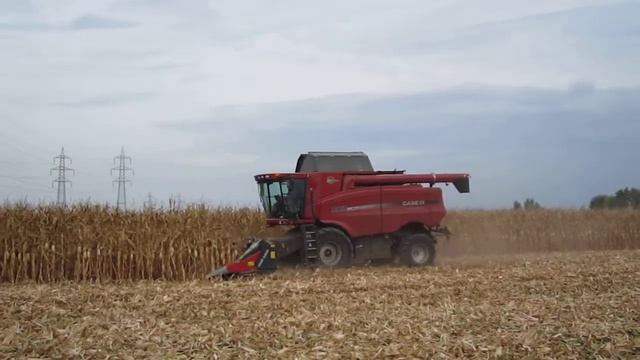 Case 8010 barra dominoni смотреть онлайн