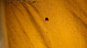 ночую на карьере в палатке СССР с печкой.