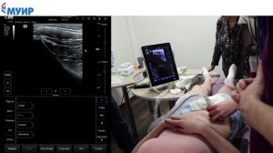 Практикум: Локальная инъекционная терапия (блокады) под УЗИ-контролем #невролог #блокада #боль