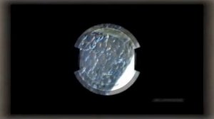 Телеканал "Здоровое ТВ" - Медицинские открытия