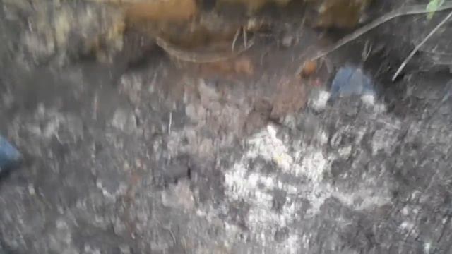 Коп металлолома. Фартит на старых фермах. смотреть онлайн