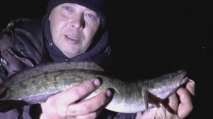 ЛОВЛЯ НАЛИМА на Волге! Где искать и на что его ловить?