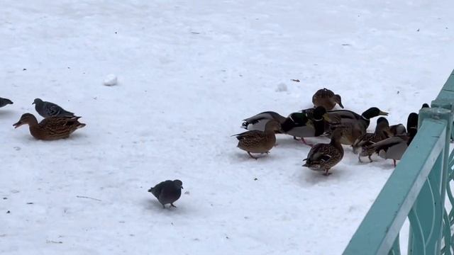 14 января 2023 г. смотреть онлайн